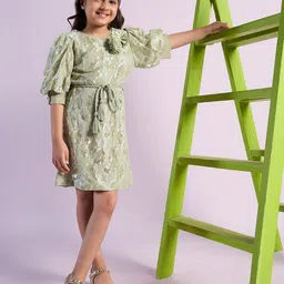 Peppermint Girls Self Design Floral Flutter Sleeve Fit & Flare Dress-image-85