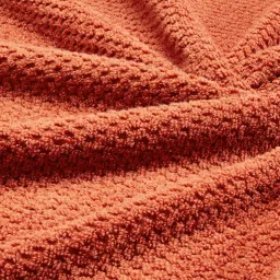 Spaces Swift Dry Self Red 450 GSM Cotton Bath Towel image 4