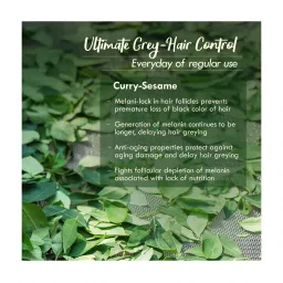 Nat Habit Curry Sesame Ultimate Grey Hair Control Summer Dasabuti Hair Oil - 100 ml image 3