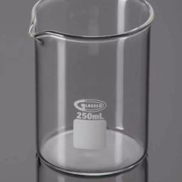 Glassco 250ml Low Form Beaker with Spout Q230.235.05-8