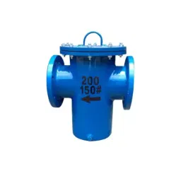 Valson 24 inch, 609.6 mm T Basket Type Strainer With SS Mesh Flanged Blue-4