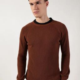 Thomas Scott Brown Cotton Regular Fit Structured Sweatshirt-picture-24