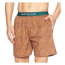 Fruit of the Loom Multicolor Cotton Regular Fit Printed Boxers-image-70