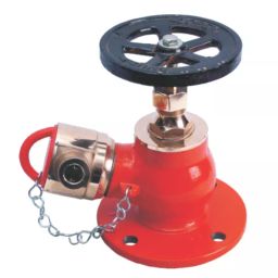Leader 3 inch, 80 mm L Metal Female Outlet Fire Hydrant Valve, GM 114C-19