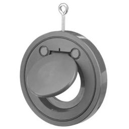 Sant 4 Inch,100 mm Ductile Iron Single Plate Check Valve SP-image-23