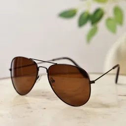 Garry Gobbs Unisex Brown Lens & Brown Aviator Sunglasses with-image-36