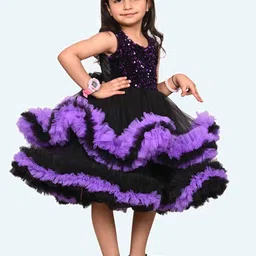Modish Net Fit & Flare Dress image 4