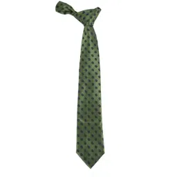 Alvaro Castagnino Green Woven Tie-picture-39