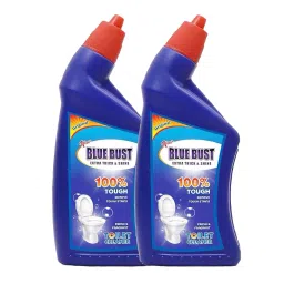 BLUEBUST 1 L Each Refreshing Fragrance Pro Plus Disinfectant Thick Toilet Cleaner (Pack of 2)-image-82