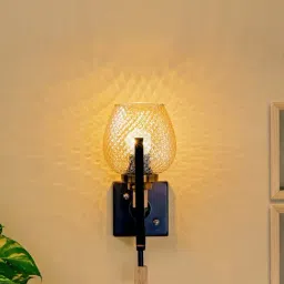 Kapoor E Illuminations 'Elizabeth' Transparent & Brown Metal Wall Light - Set of 1-image-84