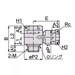 PISCO Main Block Universal Taper M18x1x1/4 Connector Thread, MHT1802 image 2