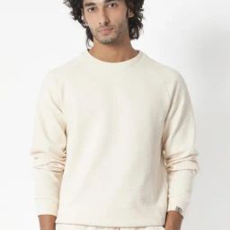 Rare Rabbit Beige Cotton Regular Fit Solid Sweatshirt-image-97