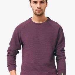 Rare Rabbit Purple Cotton Regular Fit Solid Sweatshirt-image-59