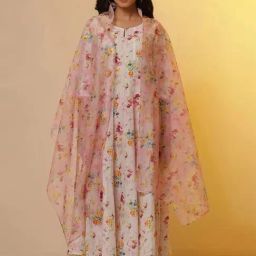 Aurelia Pink Printed Dupatta-27