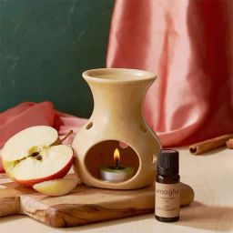 IRIS Green Amogha Apple Cinnamon Vaporizer - 10 ml-10