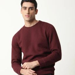 Rare Rabbit Maroon Cotton Regular Fit Solid Sweatshirt-image-95