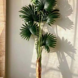 Mason Home Green Pvc & Fabric Artificial Plant-image-36