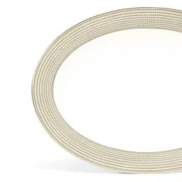 Home4U White & Golden Bone China 25.5 cm Serving Tray - Set of 1 image 2