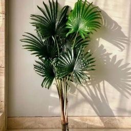 Mason Home Green Pvc & Fabric Artificial Plant-image-38