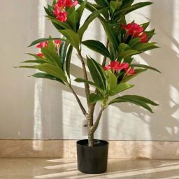 Mason Home Light Pink & Green Pvc Artificial Plant-image-3