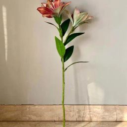 Mason Home Rustic Peach Pvc Artificial Rustic Lily (One Stem) - 2 Feet-image-9