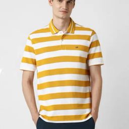 Peter England Yellow Cotton Regular Fit Striped Polo T-Shirt-image-24