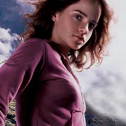 Harry Potter Multicoloured Hermione Printed Regular Top image 3