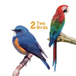 om books international Touch And Feel Numbers Board Book - English image 4