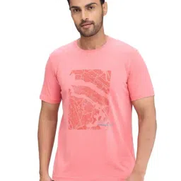 Park Avenue Red Slim Fit T-Shirt-picture-41