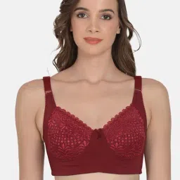 mod & shy Maroon Lace Work Minimizer Bra-picture-13