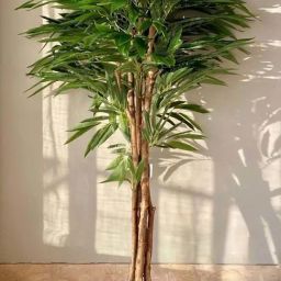 Mason Home Green Natural Wooden Trunk & Pvc Artificial Plant-image-25