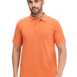 Raymond Orange Slim Fit Polo T-Shirt-picture-35