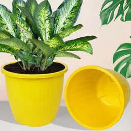 Kuber Industries Set Of 6 Multicolour Solid Flower Pot image 3