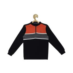 Allen Solly Junior Navy Striped Full Sleeves Sweater-picture-49