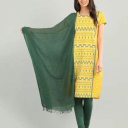 Aurelia Green Checks Dupatta-image-53