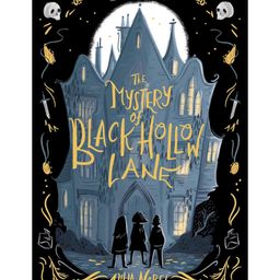 The Mystery of Black Hollow Lane Story Book By Julia Nobel - English-image-40