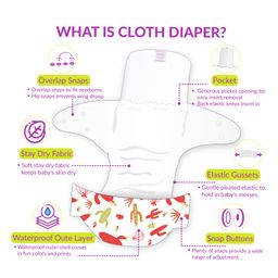 Bembika B Plus Printed Cloth Diapers With 2 Inserts  - Multicolor image 4