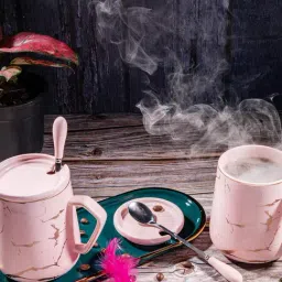Gibox Pink Ceramic Ceramic Cups And Saucers - Set Of 2-image-24