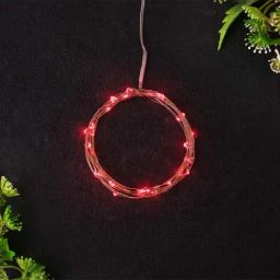 Homesake Red Copper 30-LED Fairy Light (3 Mtr.) - Set of 1-14