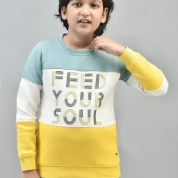 Crimsoune Club Kids Multicolor Color Block Full Sleeves Sweatshirt-image-62