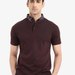 Rare Rabbit Maroon Regular Fit Solid Polo T-Shirt-image-57