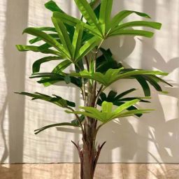 Mason Home Green Pvc Tall Plants-image-51