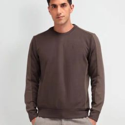 Arrow Brown Cotton Regular Fit Sweatshirt-image-26