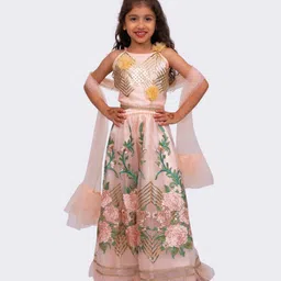 Elaisha Net Woven Sleeveless Floral Embroidered & Gota Lace Embellished Lehenga Set With Dupatta - Peach-picture-47
