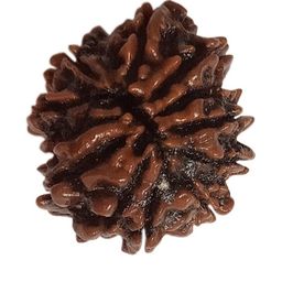 RAVIOUR LIFESTYLE Unisex Brown Pendant-image-58