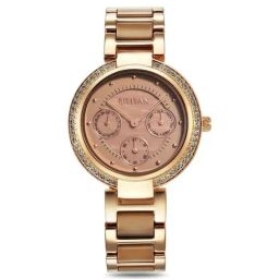 Titan 95187KD03 Acetate Glam Analog Watch for Women-image-103