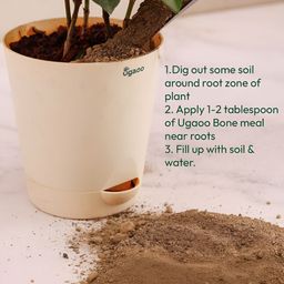 UGAOO Brown Bone Meal Fertilizer - 5 kg image 4