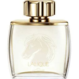 LALIQUE Equus Pour Homme Eau De Parfum for Men - 75 ml-image-71