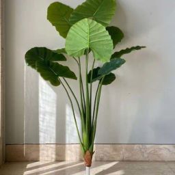 Mason Home Green Pvc Tall Plants-image-52