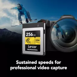 Lexar Professional CFexpress Type B Memory Card 256 GB Upto 1750 Mbps Read & 1500 Mbps Write Speed, GOLD image 4